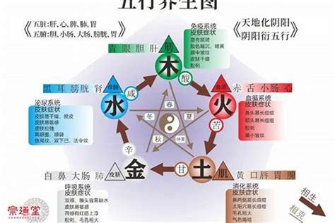 五行缺水男|命理五行缺水怎么办 五行缺水的人是什么命局